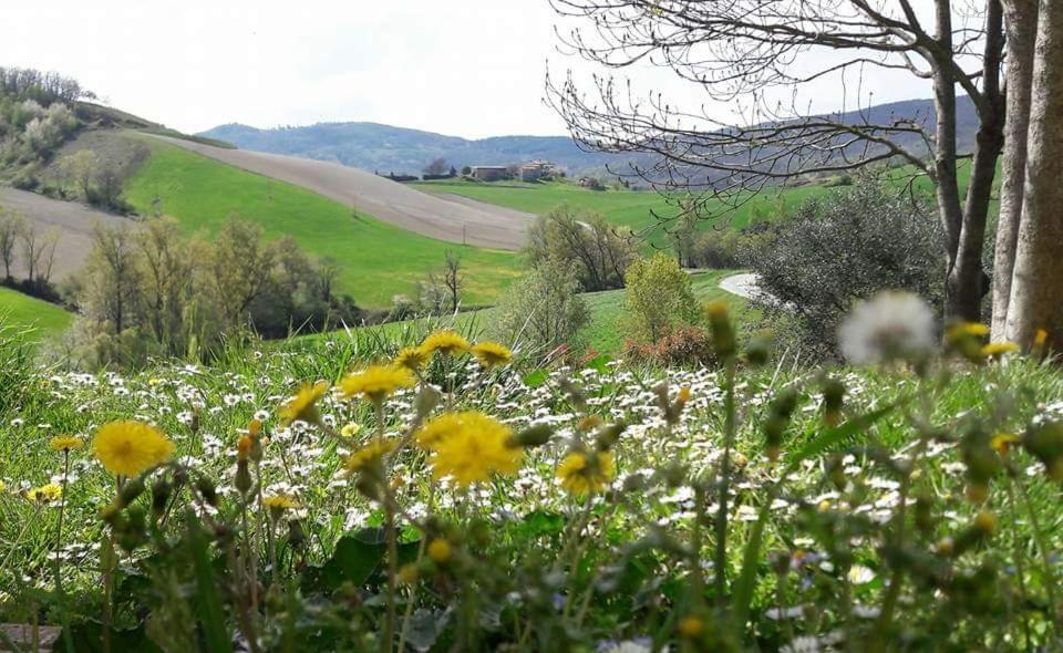 Agriturismo Il Colore Del Grano San Vittore  Экстерьер фото
