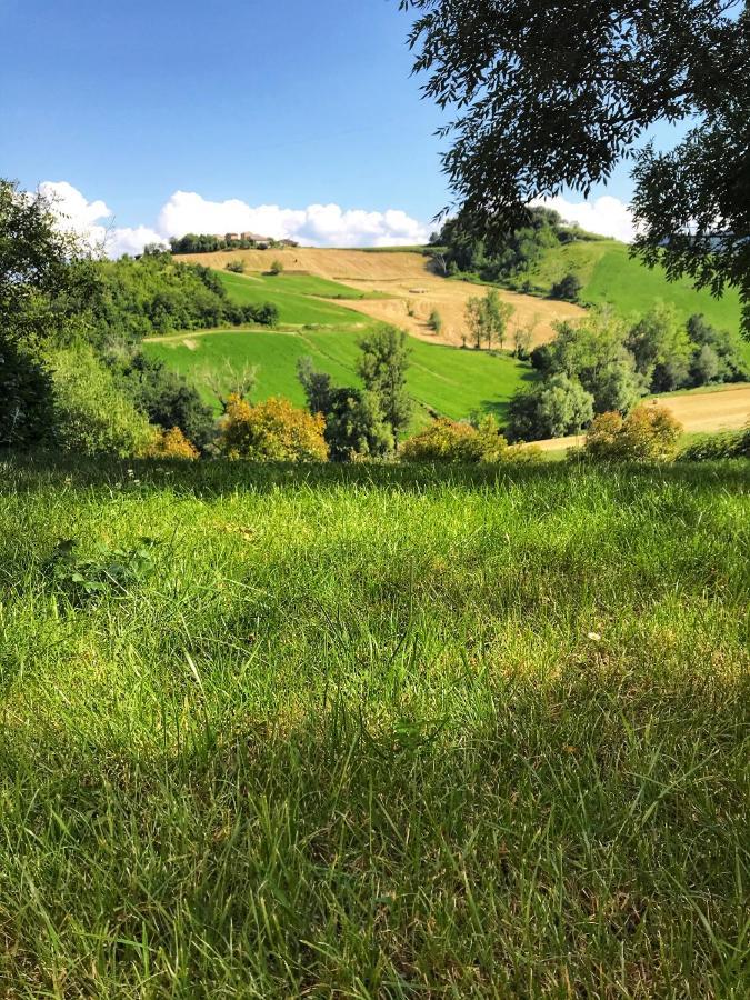 Agriturismo Il Colore Del Grano San Vittore  Экстерьер фото