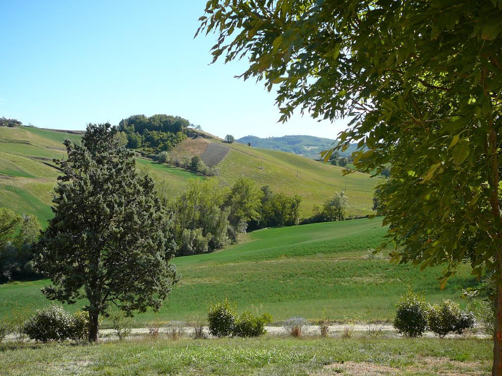 Agriturismo Il Colore Del Grano San Vittore  Экстерьер фото