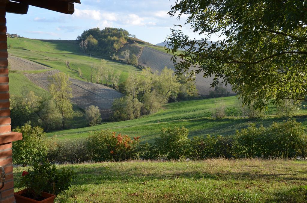 Agriturismo Il Colore Del Grano San Vittore  Экстерьер фото